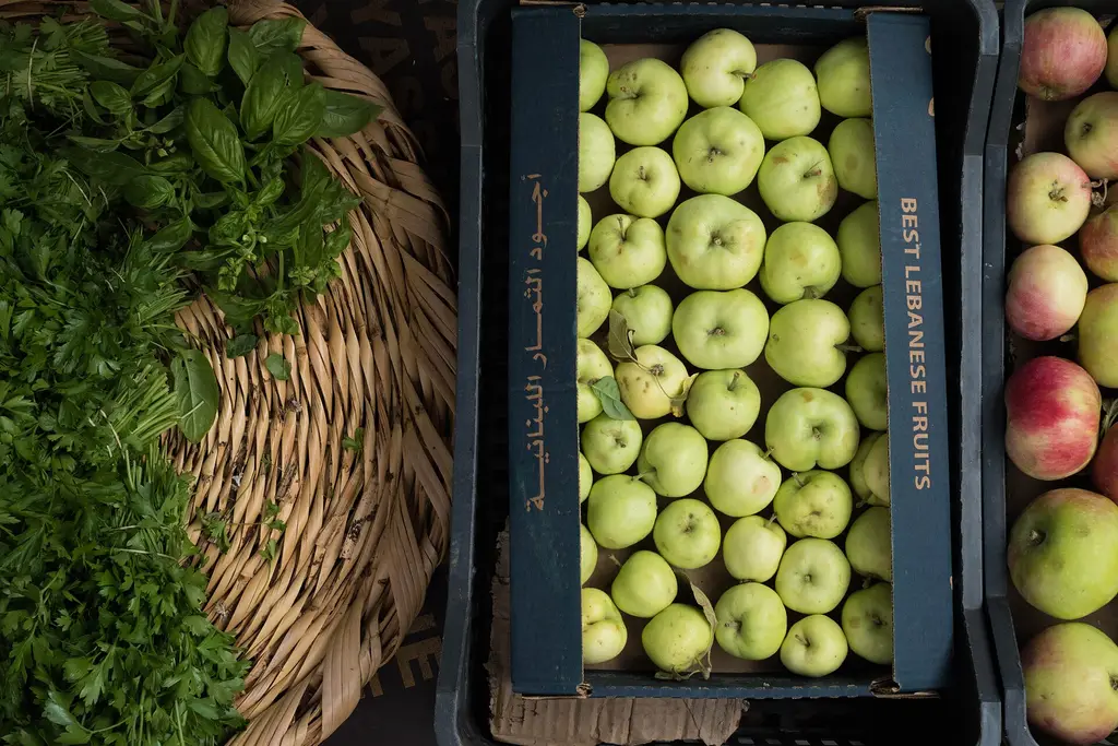 Beirut: Fruits and Vegetables (Unsplash) Beirut City Center, Beirut, Lebanon CC-Zero|Flora of Lebanon|Images uploaded by Fæ|Images from Unsplash|Images from Unsplash (r