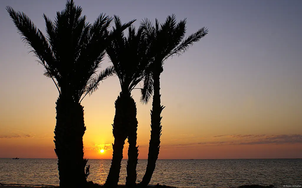 Djerba: Sunrise, Djerba, Tunisia Sunrise, Djerba, Tunisia