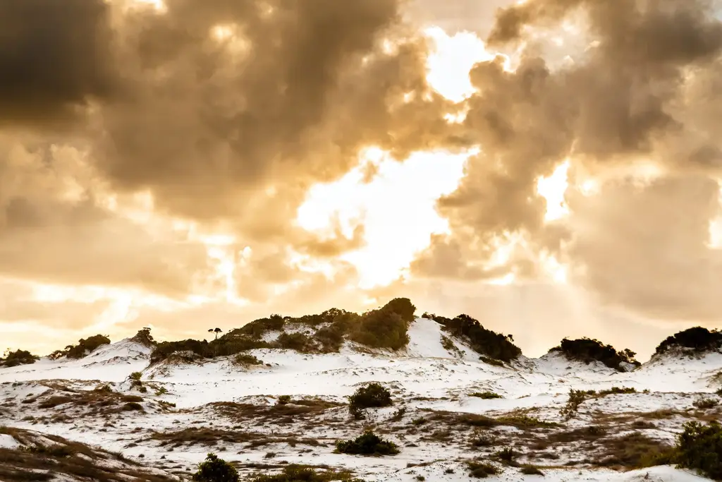 Salvador da Bahia: Dunas Salvador (150812163) 500px provided description: Dunas Salvador [#sunset ,#sands ,#brazil ,#brasil ,#bahia ,#salvador ,#golden hour ,#dunas] Nature of Sal