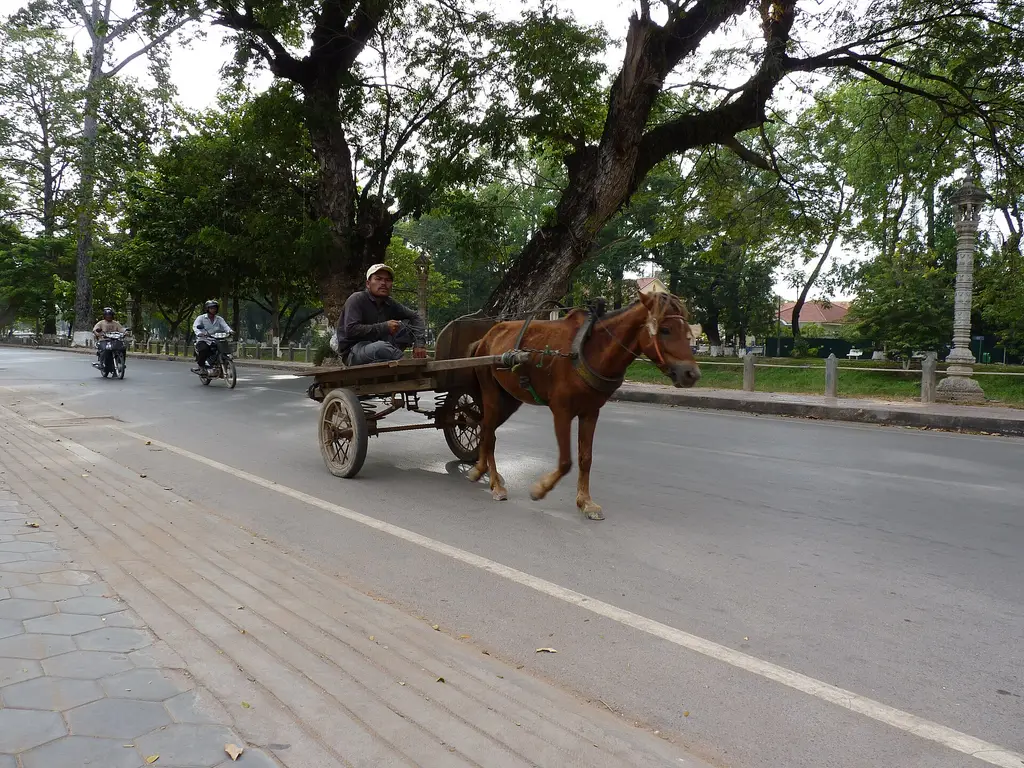 Siem Reap: Street view - panoramio (3) Street view Panoramio files uploaded by Panoramio upload bot|Panoramio images reviewed by trusted users|Photos from Panoramio|Media 